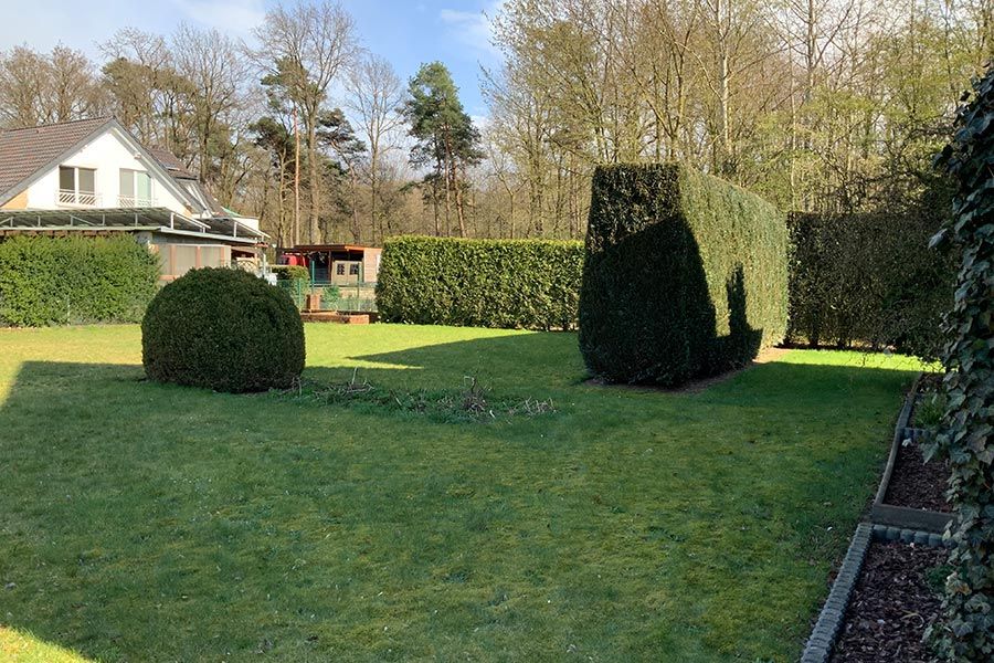 Verwandlung vorher