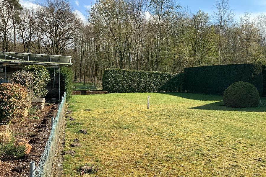 Verwandlung vorher